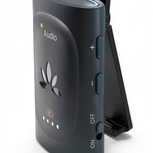 bluetooth ptt
