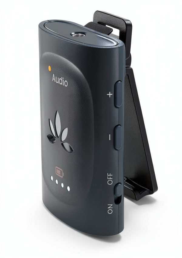 bluetooth ptt
